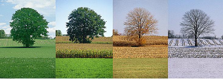 中配《死亡搁浅2》实机演示发布！被吐槽译制片风格