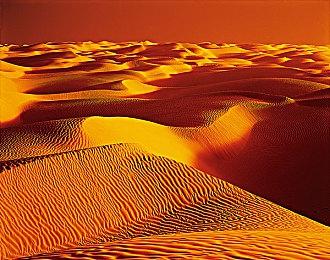 《宝可梦：朱紫》新事件上线 龙类型宝可梦三种大量出现