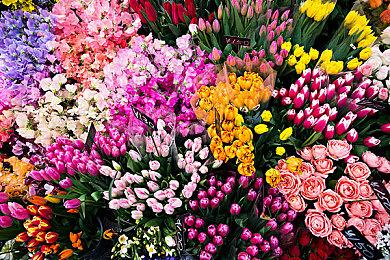 发售一周 《最终幻想16》全球销量已突破300万