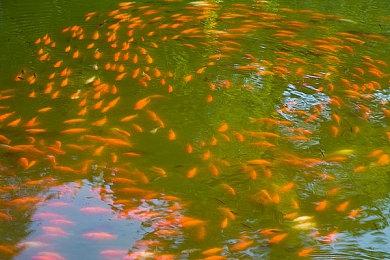 《漫威蜘蛛侠2》已开启预载 地图比前作大一倍